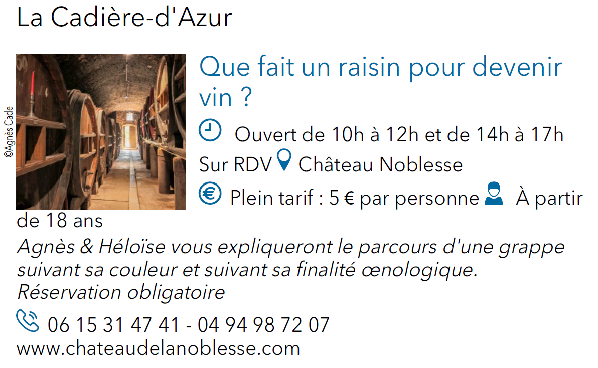 atelier raisin noblesse