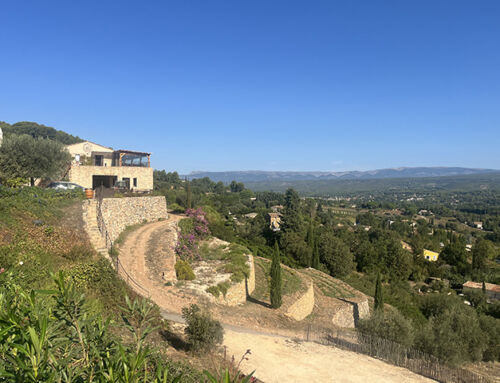 Eductour 2024 : immersion au cœur des vignobles de Bandol